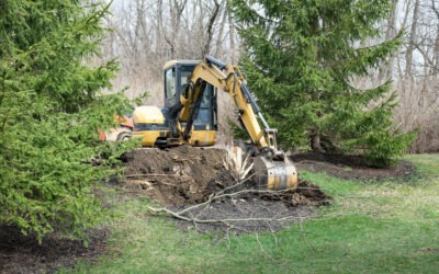 Know About Tree Stump Removal